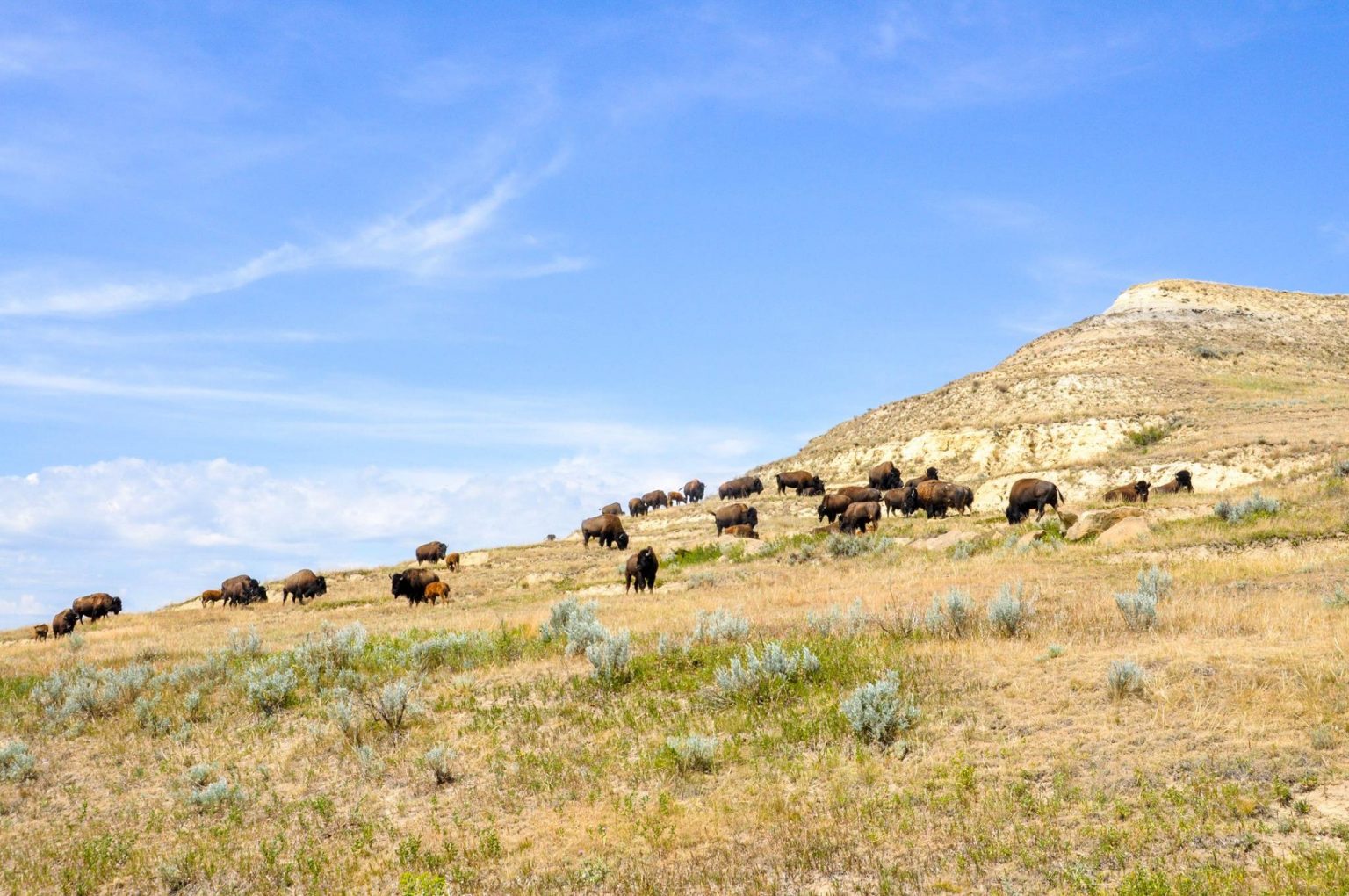 Attractions & Entertainment Bowman North Dakota